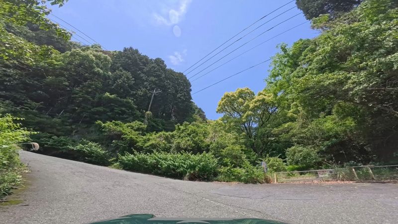 頼朝ライン